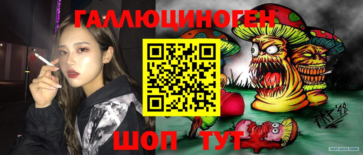 Павлово  Псилоцибиновые грибы GOLDEN TEACHER  Вход с VPN 
